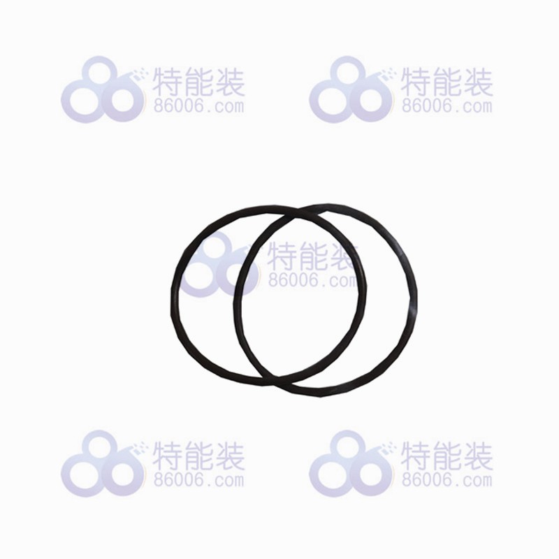 美国AMETEK阿美特克窗口密封圈202813026